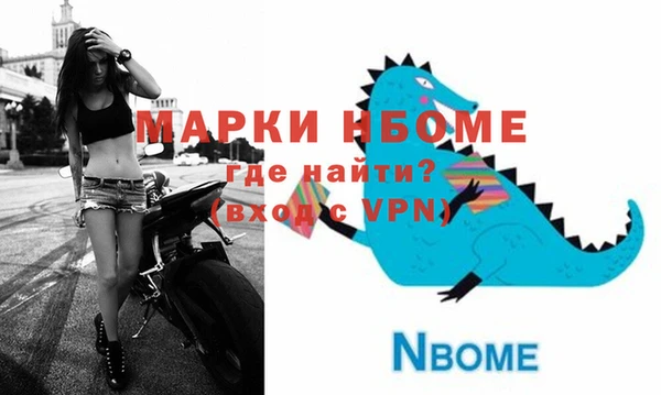 шишки Абаза