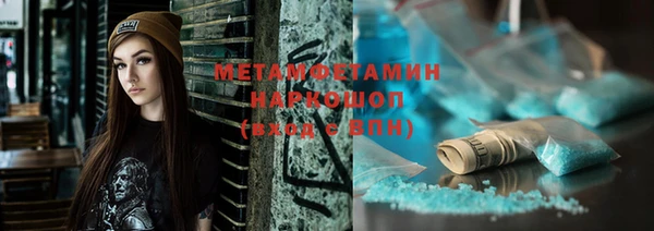 шишки Абаза