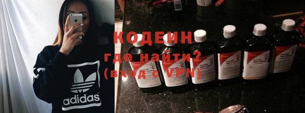 шишки Абаза