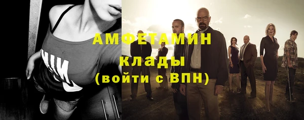 шишки Абаза