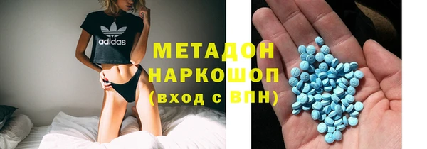 шишки Абаза
