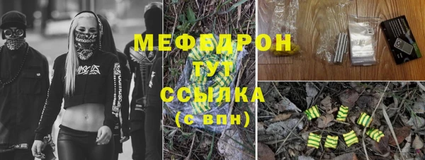 шишки Абаза