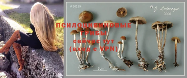мяу мяу кристалл Няндома