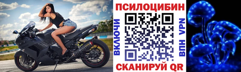 Галлюциногенные грибы MAGIC MUSHROOMS  купить закладку  гидра вход  Бугуруслан 
